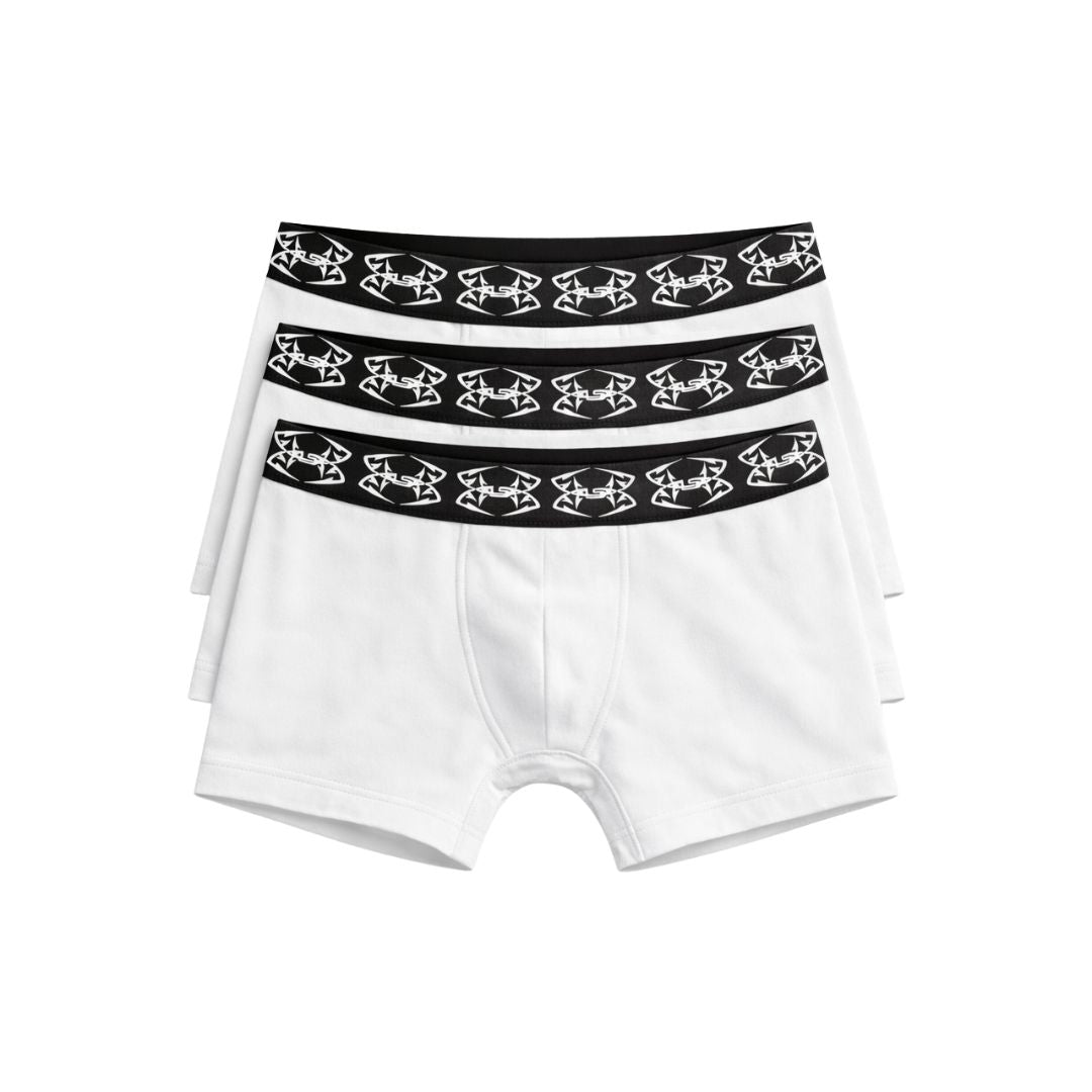 LS BOXER BRIEF (3-PACK)